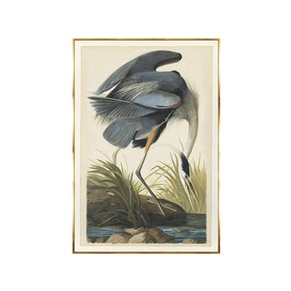 Blue Heron
