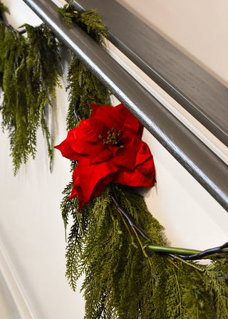 Red poinsettia flower on a green leafy branch against a white wall.